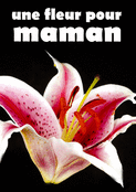 Une fleur unique pour c&eacute;l&eacute;brer maman